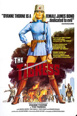 广西省网站优化企业排名